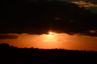 DSC_9731 (Large).JPG